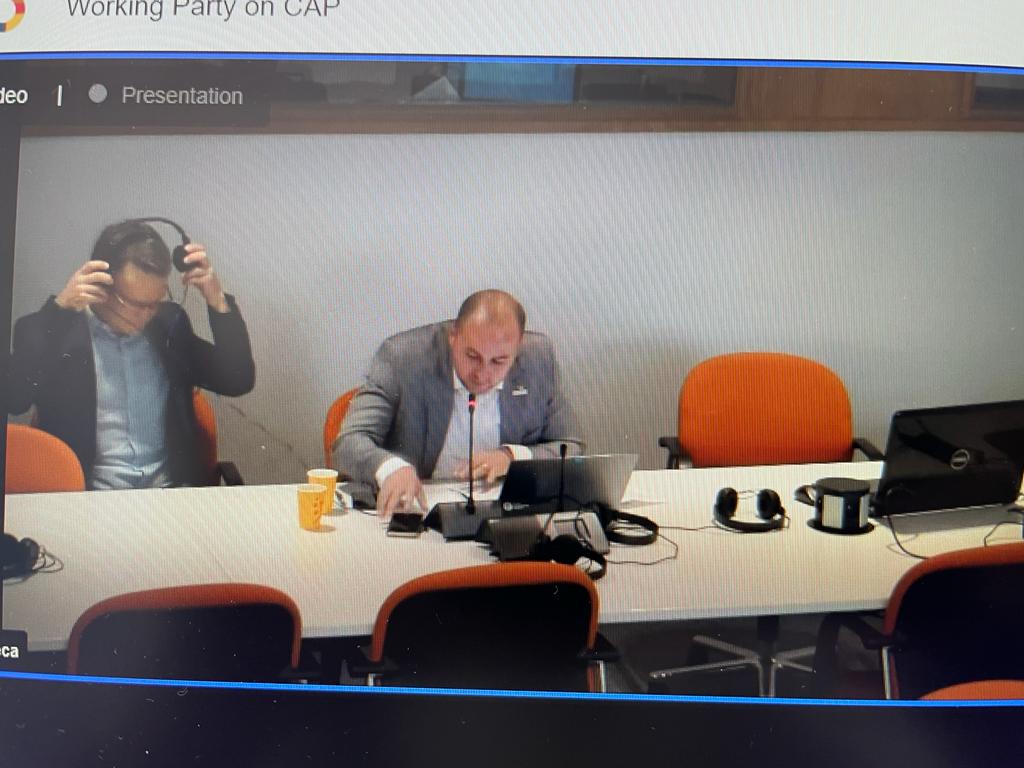 Florentin Bercu Comisia Europeana