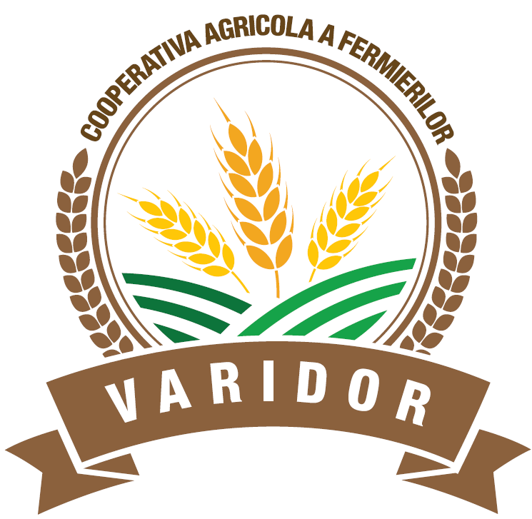 logo varidor