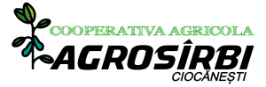Agrosarbi ciocanesti
