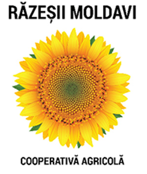 Logo Razesii Moldavi