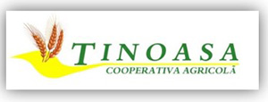 Logo Tinoasa
