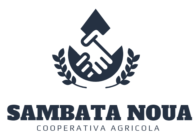 SAMBATA NOUA logo