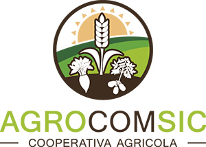 agro com sic