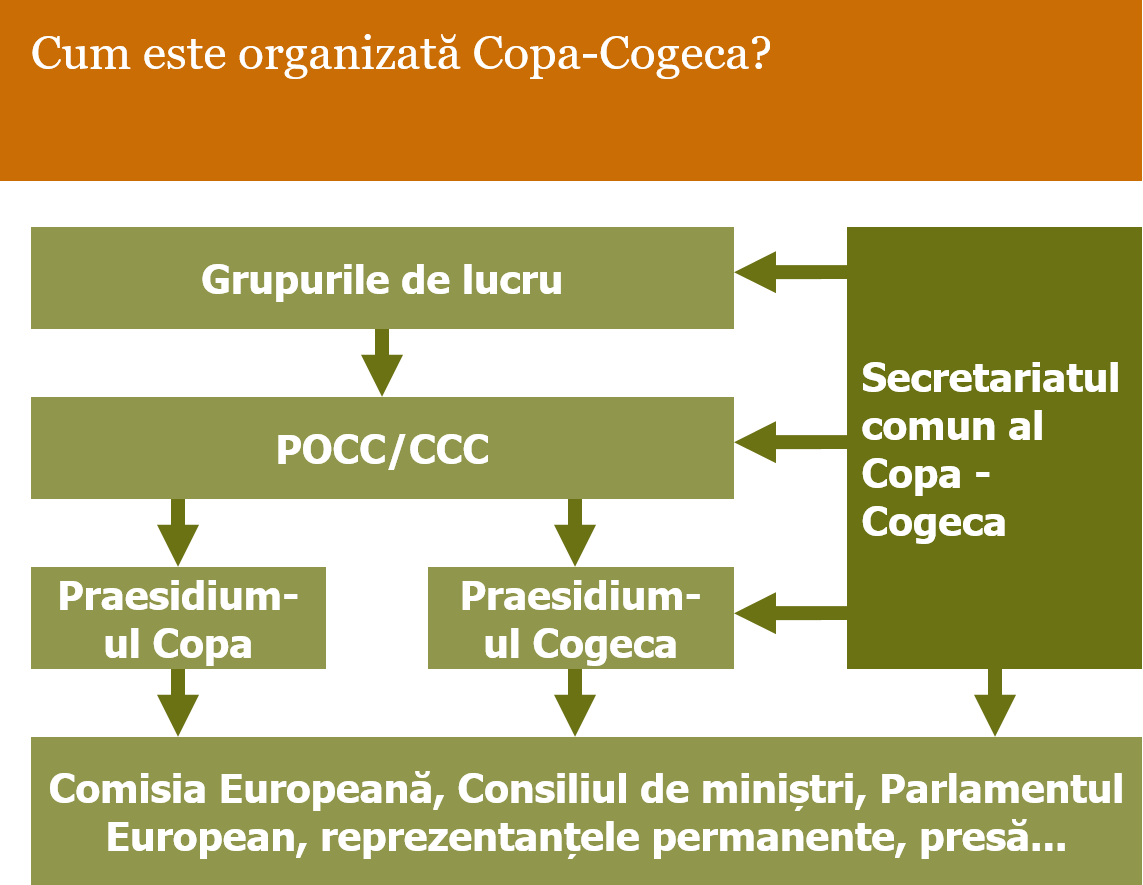 organizare copa cogeca