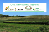 Alianța pentru Agricultură si Cooperare face încă un apel pentru includerea în PNRR a unei inițiative de gestionare sustenabilă a apei