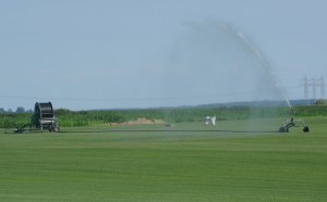 FINANȚAREA STRATEGIEI DE GESTIONARE A APEI – OBIECTIV NAȚIONAL DE REZILIENȚĂ A SECTORULUI AGRICOL