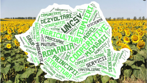 GHID PENTRU COOPERATIVE AGRICOLE DE SUCCES