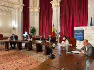 COOPERATIVELE AGRICOLE DIN ROMÂNIA - STADIUL ACTUAL ȘI OBIECTIVE 2027